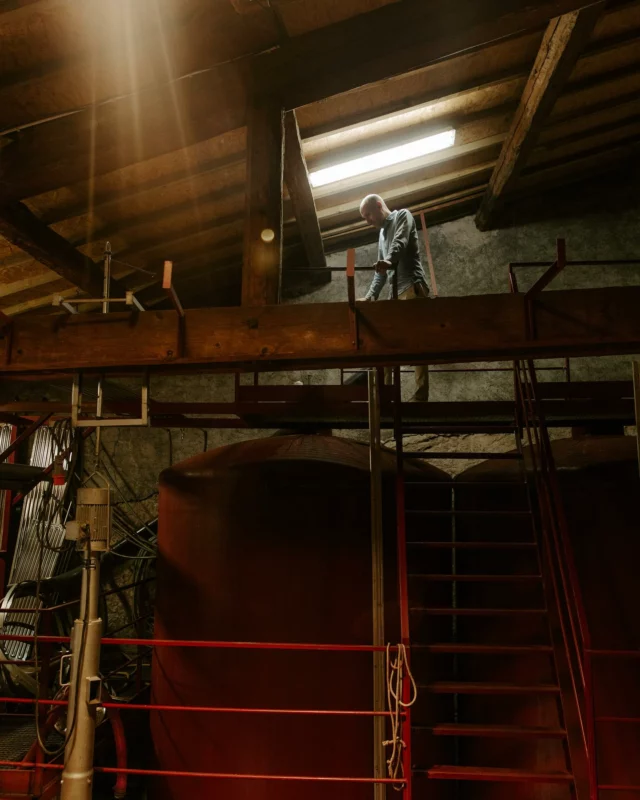 Au @domainedefontenelles nous poursuivons le travail à la cave. Nous nous appliquons à réaliser toutes les étapes de la vinification afin d’obtenir toutes les caractéristiques et spécificités organoleptiques de notre futur millésime ❤️ 
#fontenelles #vin #wine #vinification #corbieres #domaineviticole #labor #aude 

📸 @pelut.charlene